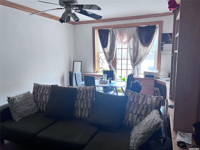 living room featuring ceiling fan and crown molding