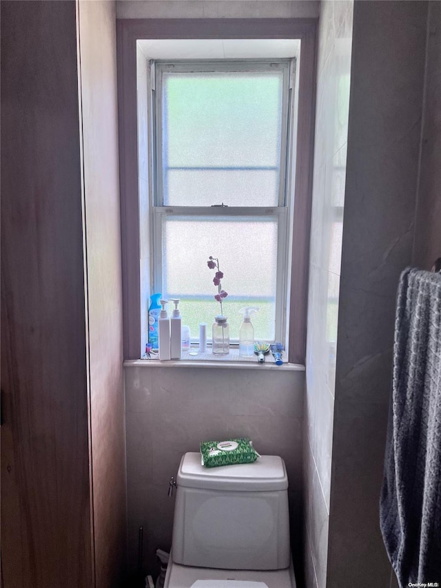 bathroom with plenty of natural light and toilet