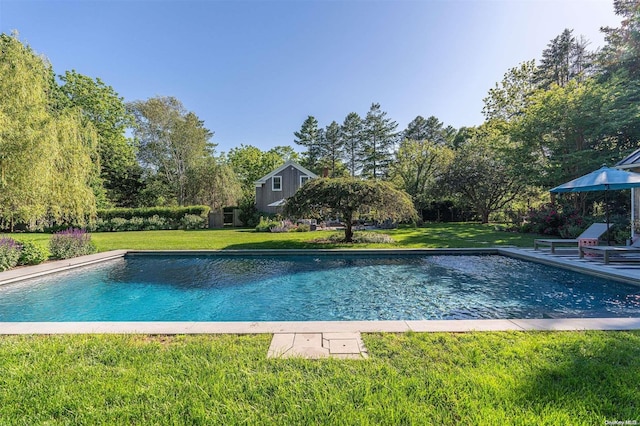 view of pool featuring a yard