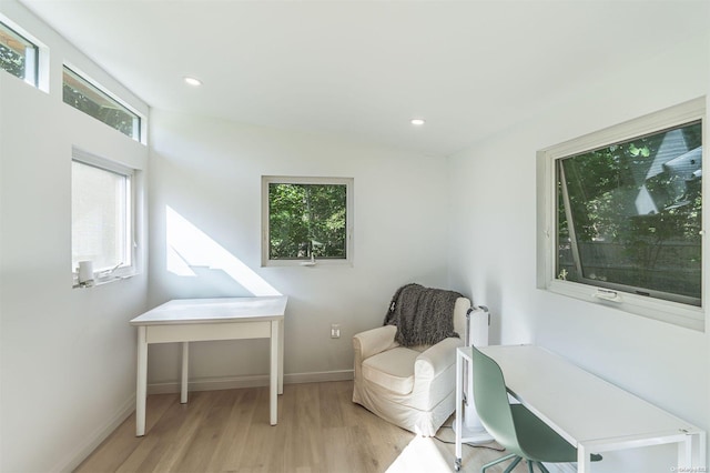 living area featuring light hardwood / wood-style flooring