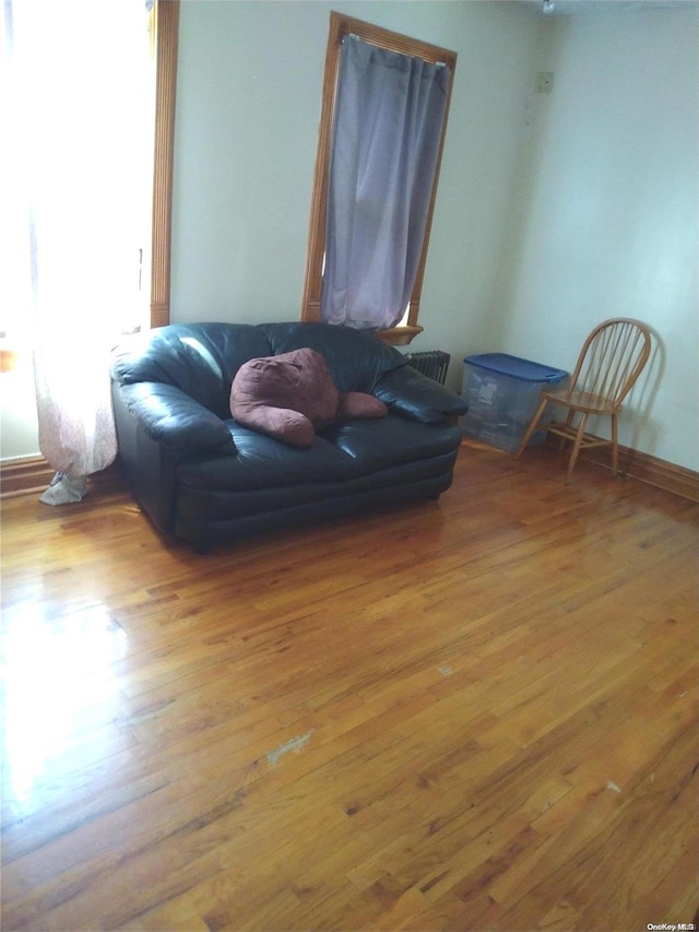 living room with light hardwood / wood-style flooring