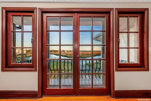 doorway with a water view and a wealth of natural light