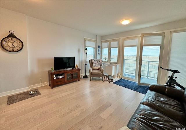 living room with light wood-type flooring