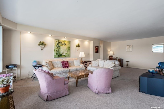 living room with carpet floors