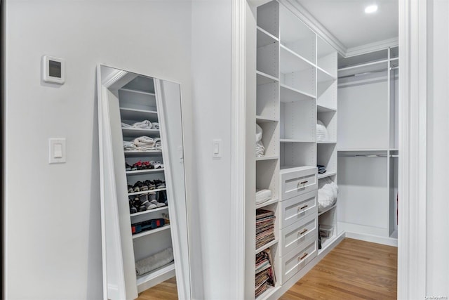 spacious closet with light wood-type flooring