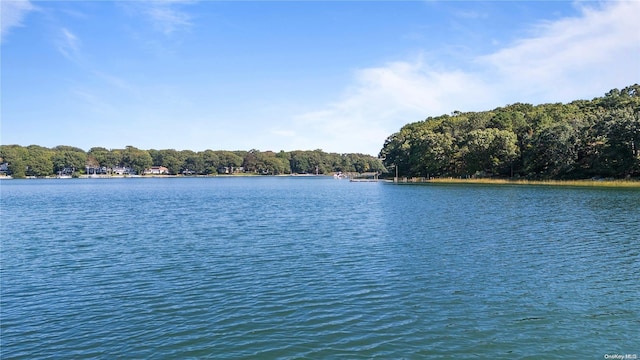 view of water feature