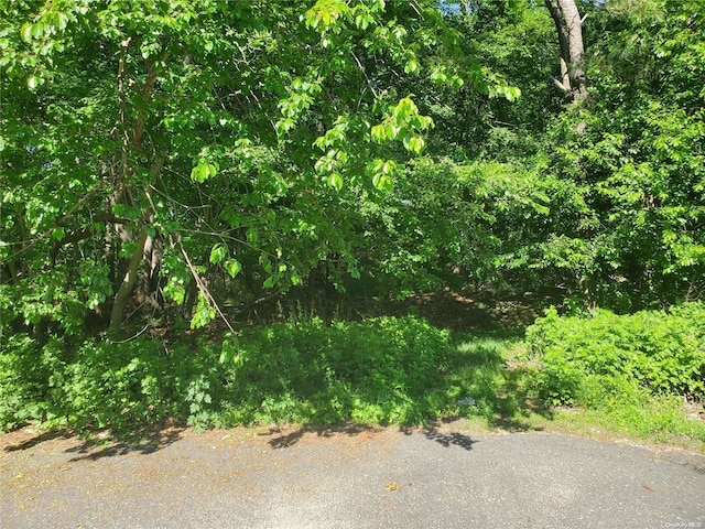 Listing photo 3 for 0 Carleton Dr, Shirley NY 11967