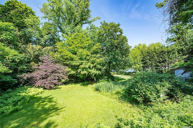 90 E Broadway, Roslyn, NY 11576 - view of green lawn