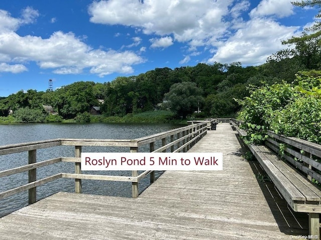 dock area with a water view