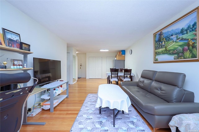 living room with light wood-type flooring