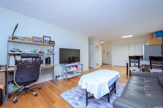 living room featuring light hardwood / wood-style floors