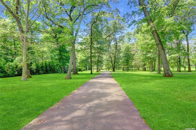 view of home's community featuring a lawn