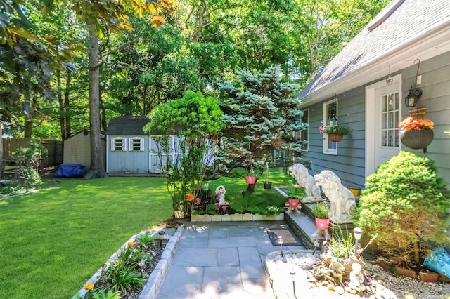 view of yard featuring a patio and a storage unit