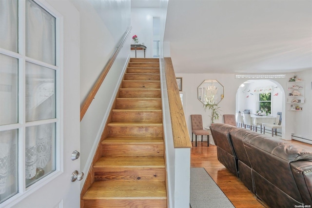 staircase featuring wood-type flooring