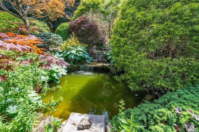 view of nature featuring a water view