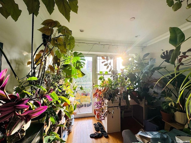 interior space with hardwood / wood-style floors and ornamental molding