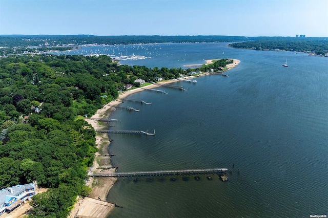 18 Hicks Ln, Sands Point, NY 11050 - drone / aerial view of a nearby body of water