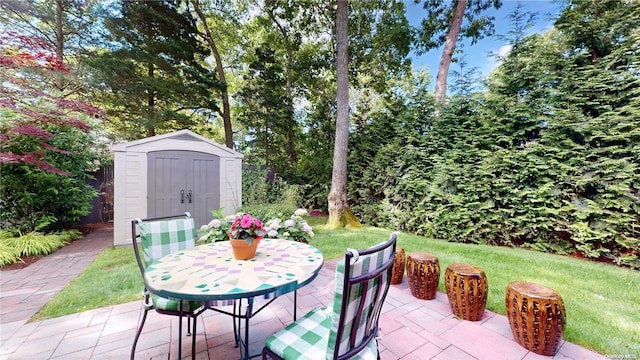 view of patio / terrace featuring a storage shed