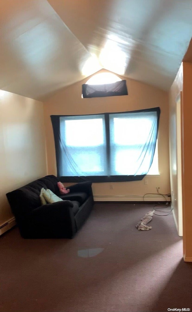 bonus room featuring carpet and lofted ceiling