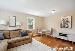 living room featuring dark wood-type flooring