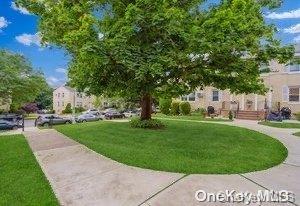 view of property's community with a lawn