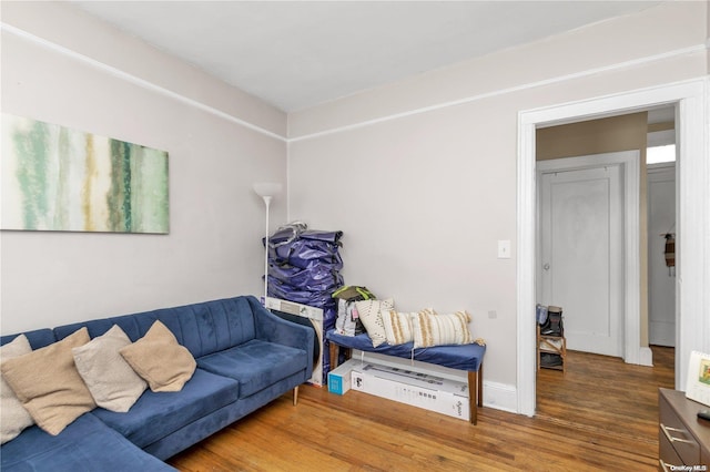 living room featuring hardwood / wood-style flooring