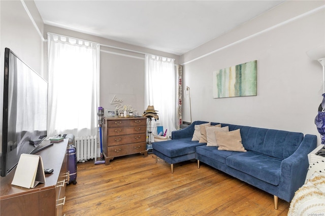 living room with radiator, a wealth of natural light, and hardwood / wood-style floors