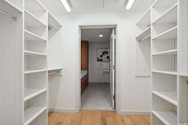 walk in closet featuring light hardwood / wood-style floors