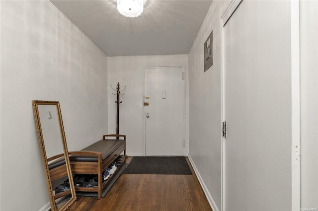 entryway with dark hardwood / wood-style floors