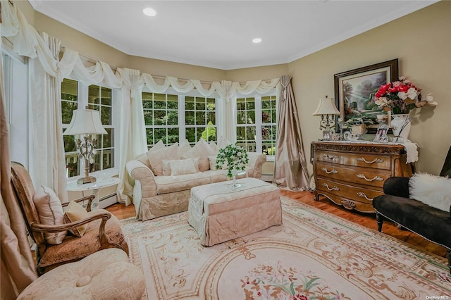 22 Saints Orchard Rd, Port Jefferson, NY 11777 - living room with wood finished floors, a baseboard radiator, recessed lighting, and crown molding