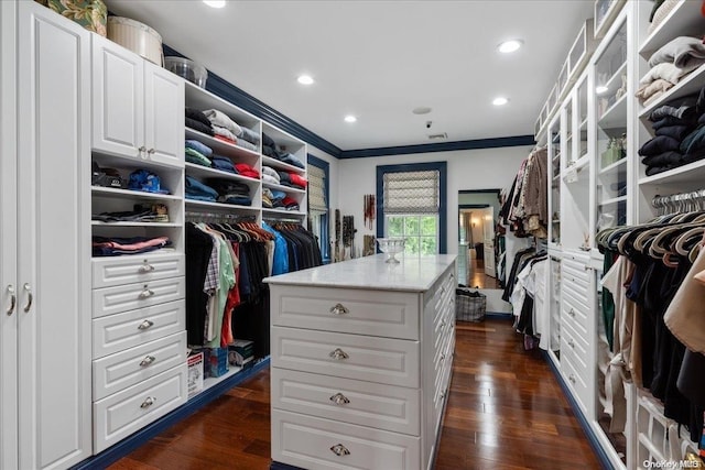 spacious closet featuring dark wood-type flooring