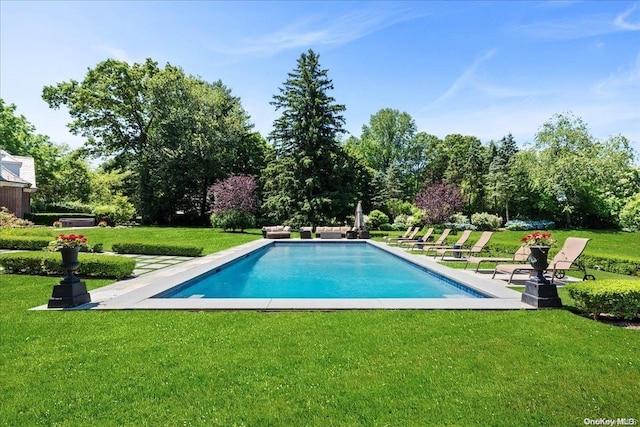 view of pool featuring a yard