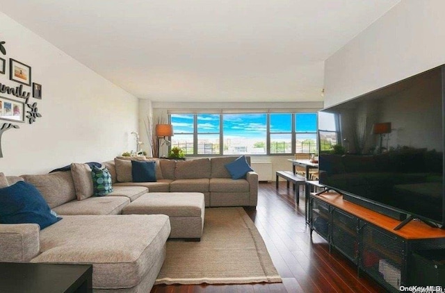 living room featuring dark hardwood / wood-style floors