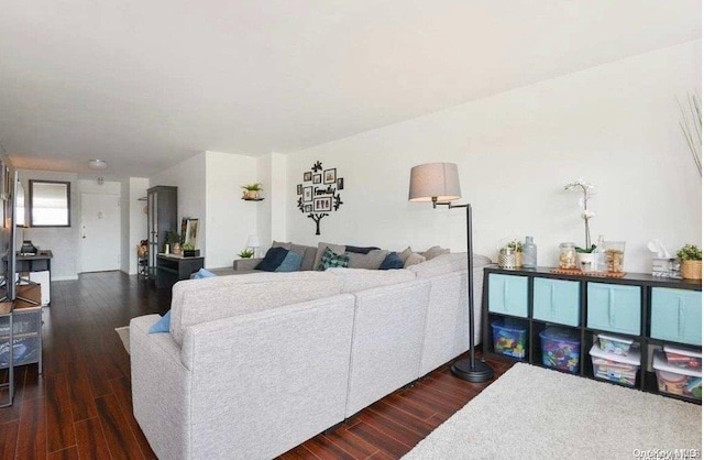 living room with dark hardwood / wood-style floors