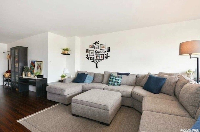 living room featuring dark hardwood / wood-style floors