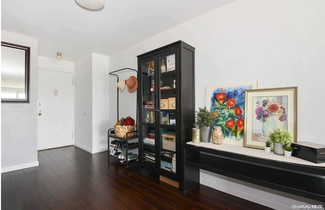 hall featuring dark hardwood / wood-style flooring