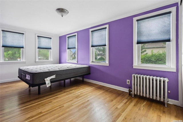 bedroom with light hardwood / wood-style flooring, radiator, and multiple windows