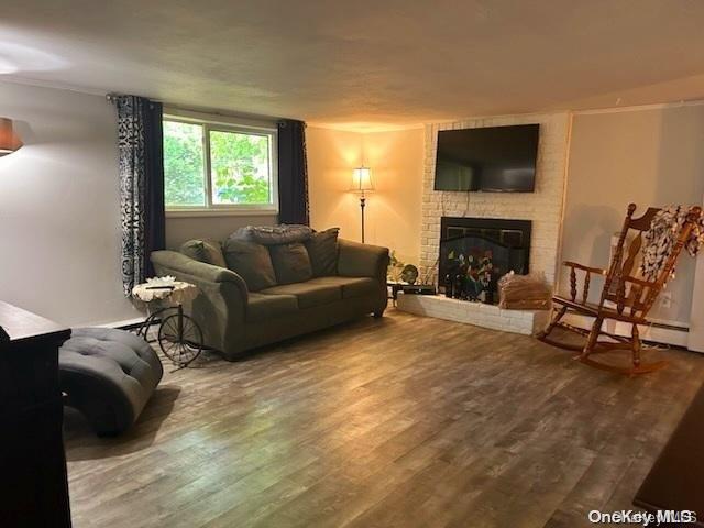 living room featuring a fireplace, hardwood / wood-style flooring, and a baseboard radiator