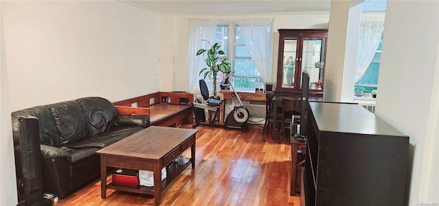 living room with light hardwood / wood-style floors and crown molding