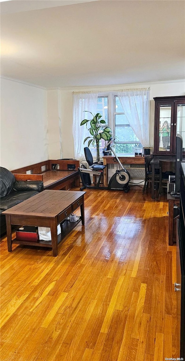 living room featuring hardwood / wood-style floors