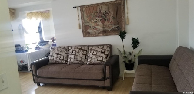 living room featuring light hardwood / wood-style flooring