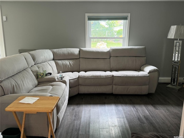 living room with dark wood-type flooring