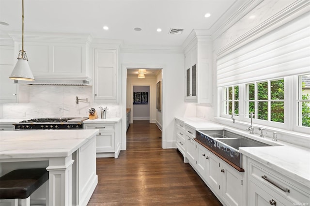 kitchen featuring white cabinets, stainless steel range, light stone countertops, and dark wood-type flooring