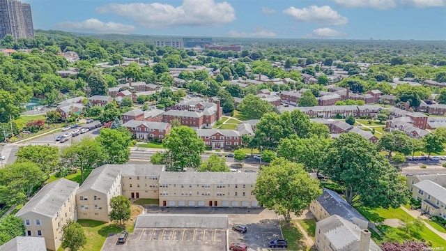 bird's eye view