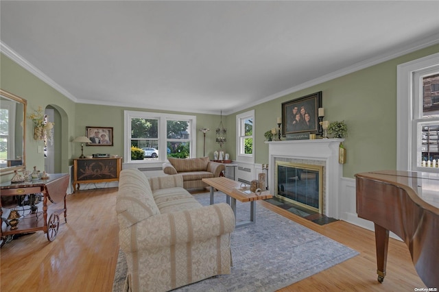 living room featuring crown molding and light hardwood / wood-style floors