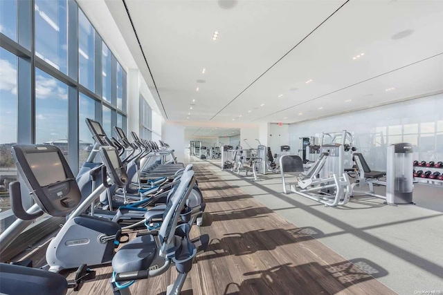 exercise room featuring hardwood / wood-style floors and a wall of windows