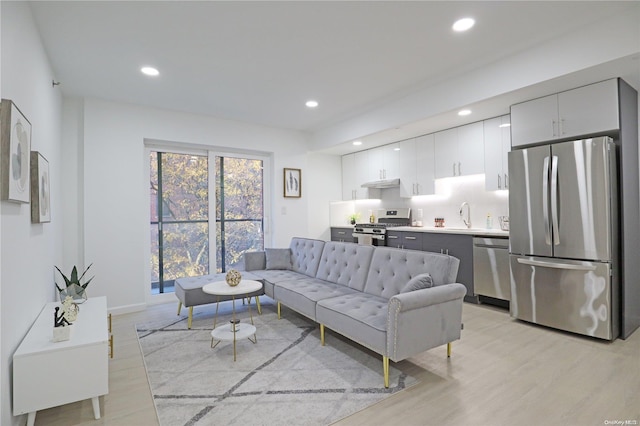 living room with light hardwood / wood-style flooring and sink