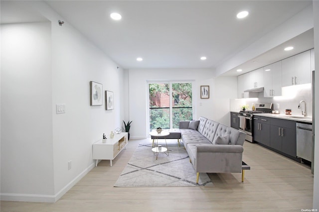 living room with light hardwood / wood-style floors and sink