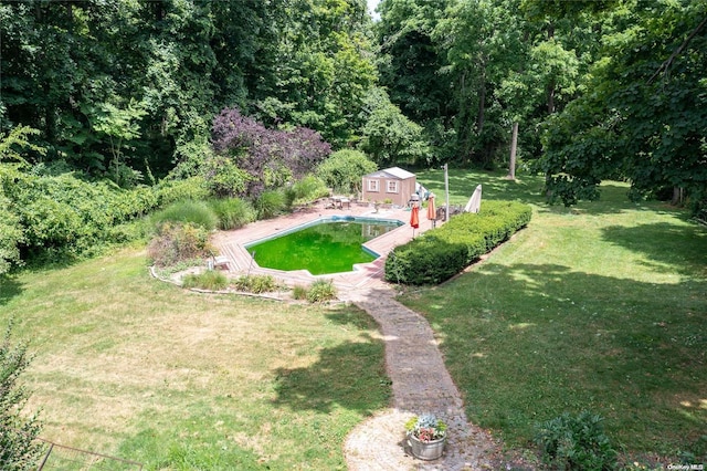 view of yard featuring a storage shed