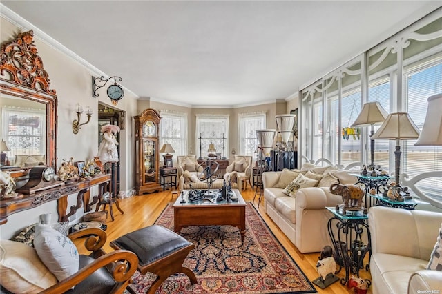 living room featuring ornamental molding and light hardwood / wood-style flooring